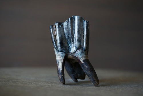 ウマの歯化石 Tooth Fossil 1748