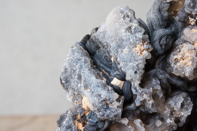 コンシャ・アゲート Concha Agate 705