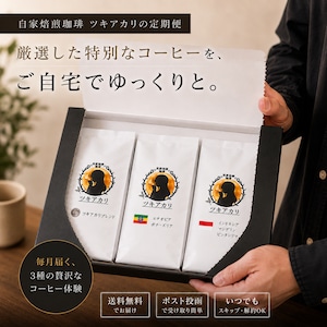 【送料込み】コーヒー豆　3種の定期便　100g×3　【粉】