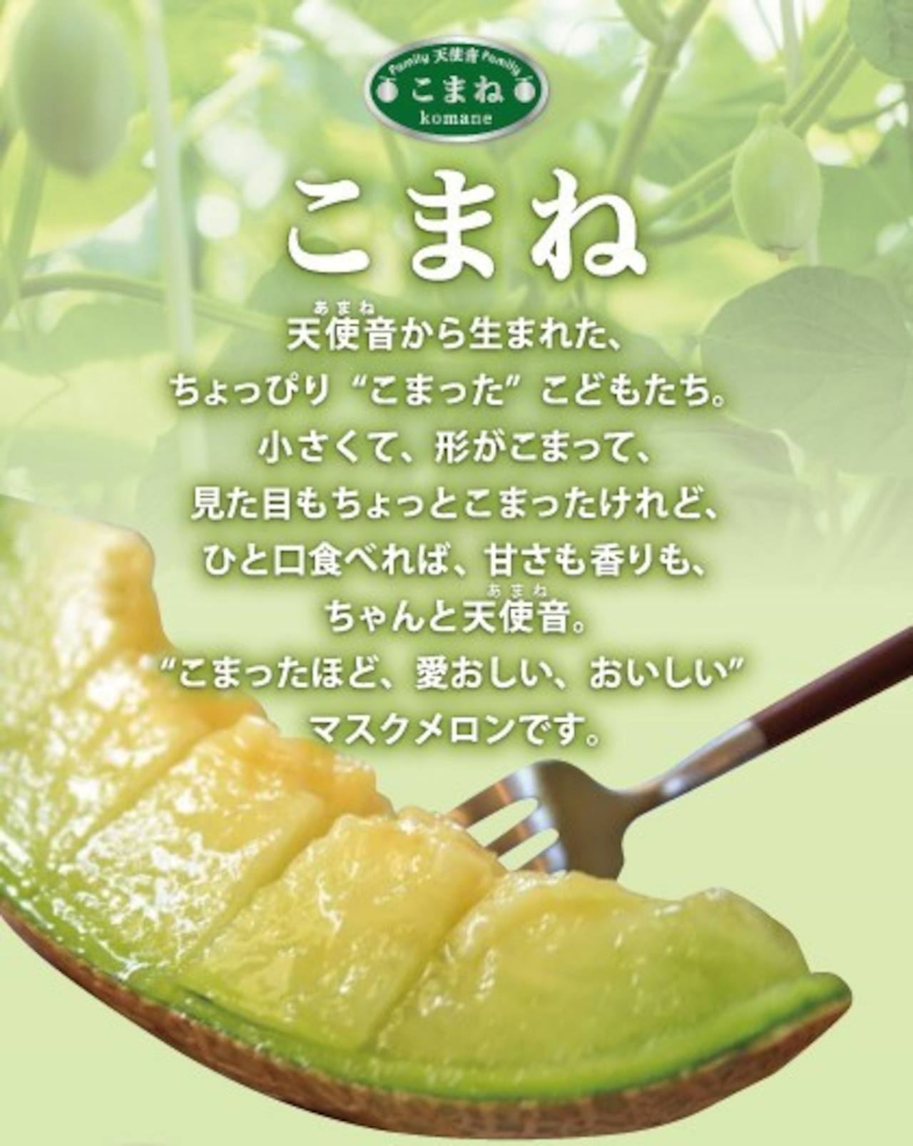 こまねミックス(家庭用)• サイズおまかせ