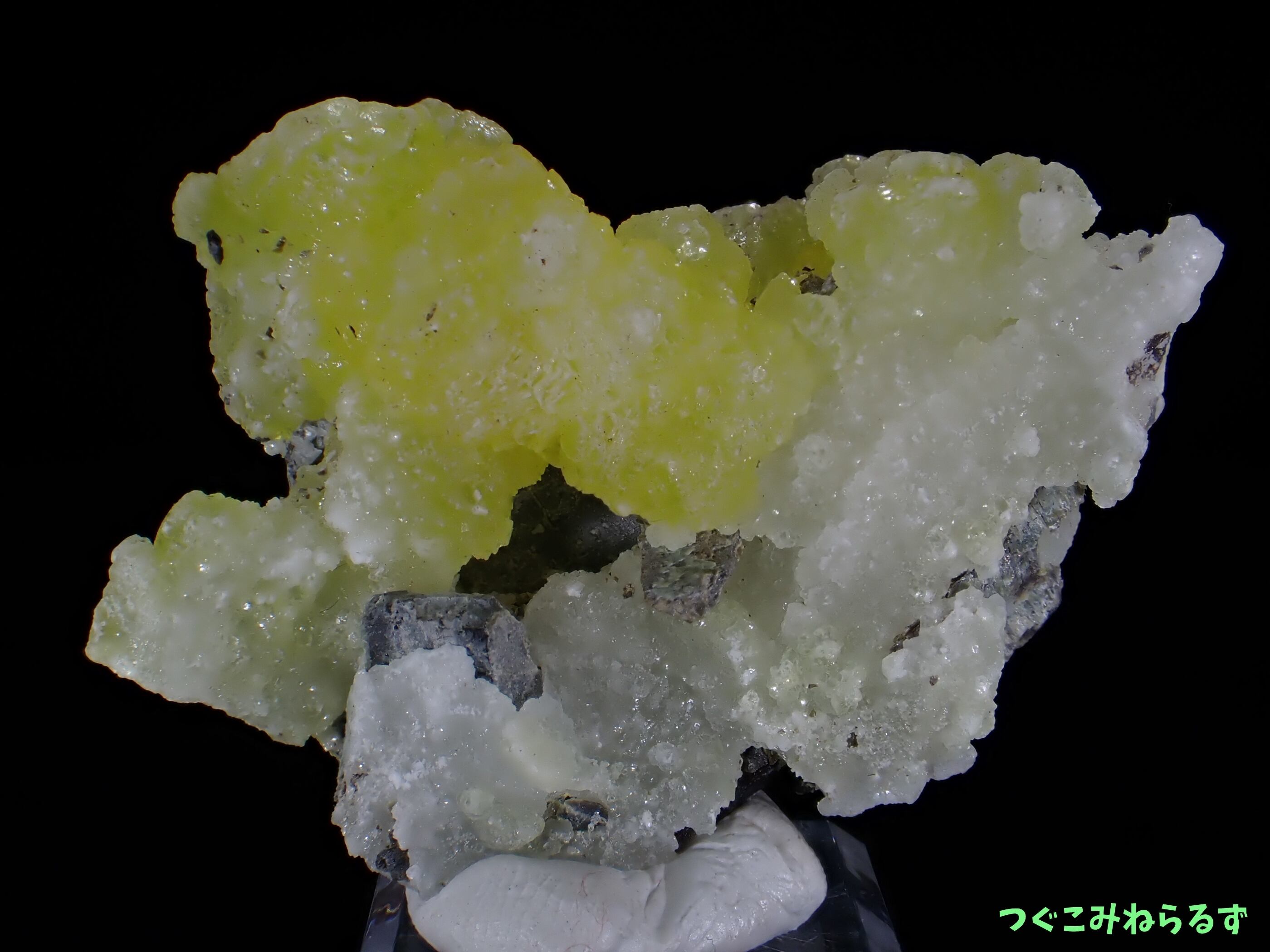 069b74f6ccec9ac570566903efd6ce