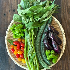 【野菜】野菜セット　小