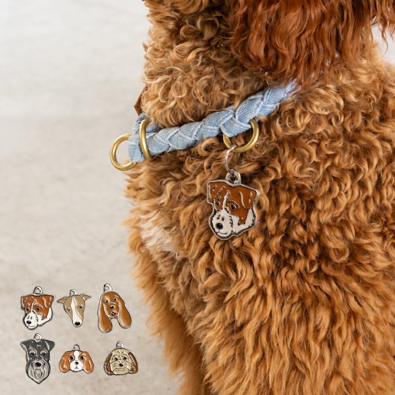 【Hoippo MyFamily】PET ID TAG 名入れ DOG1 - 6種類 - 迷子札