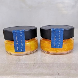 【OUTLET｜数量限定】湘南柑橘ジャム2個セット（100g×2）賞味期限4月