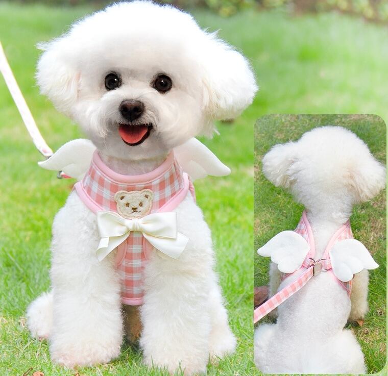 《予約》№2101822 タイニーチェックハーネス