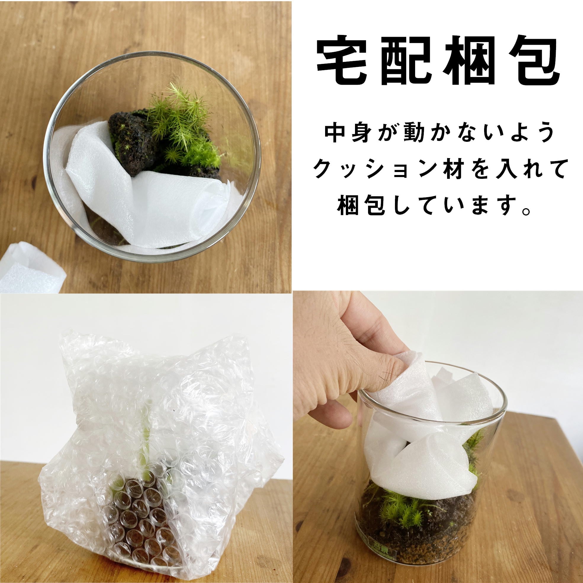 景色を楽しむ苔テラリウム】ワイドな景色の苔テラリウム＜選べる2種類