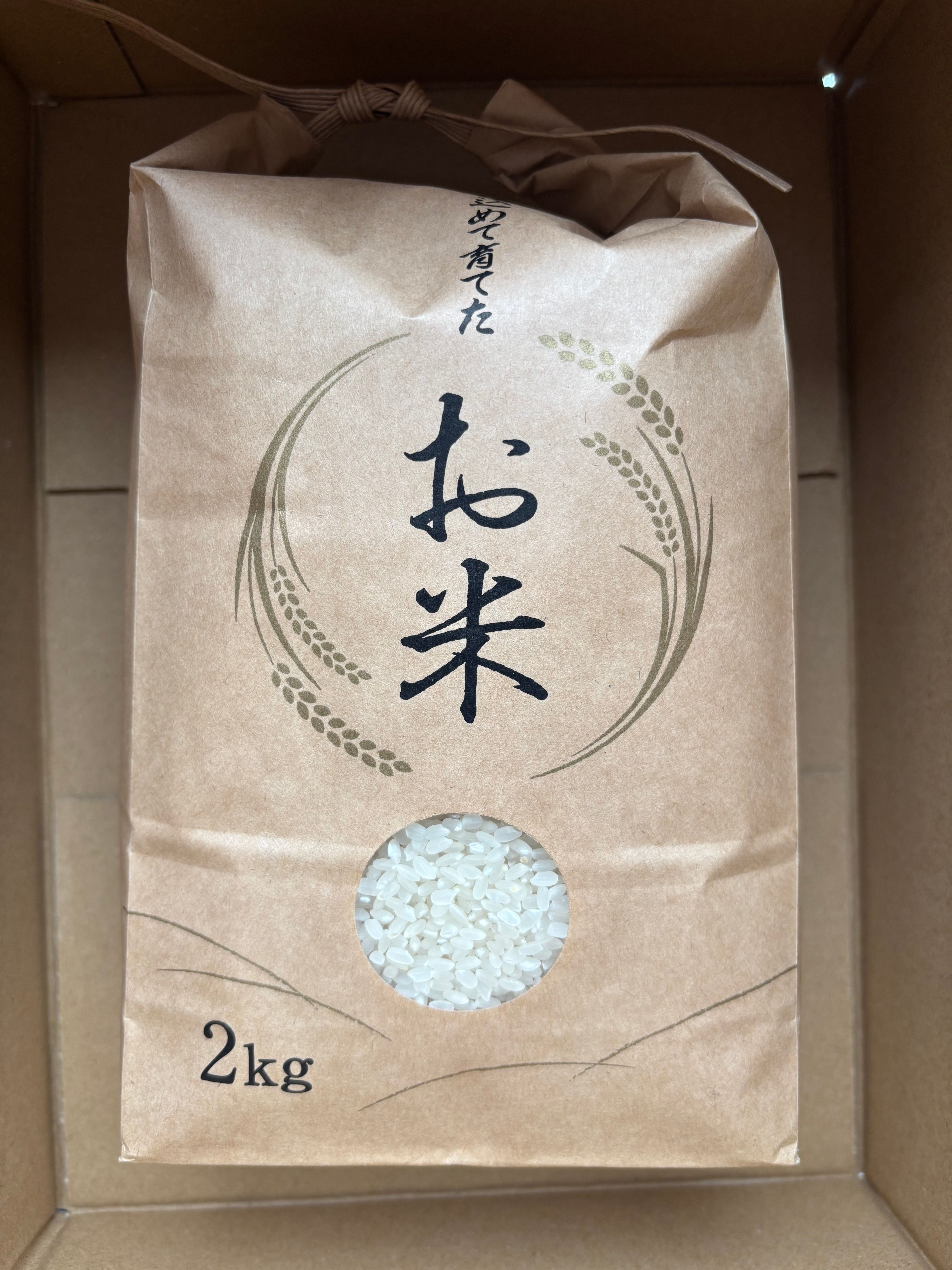 21歳若手農家直送 雪若丸 5kg ~送料無料~ | 松の木ふぁーむ｜若手農家