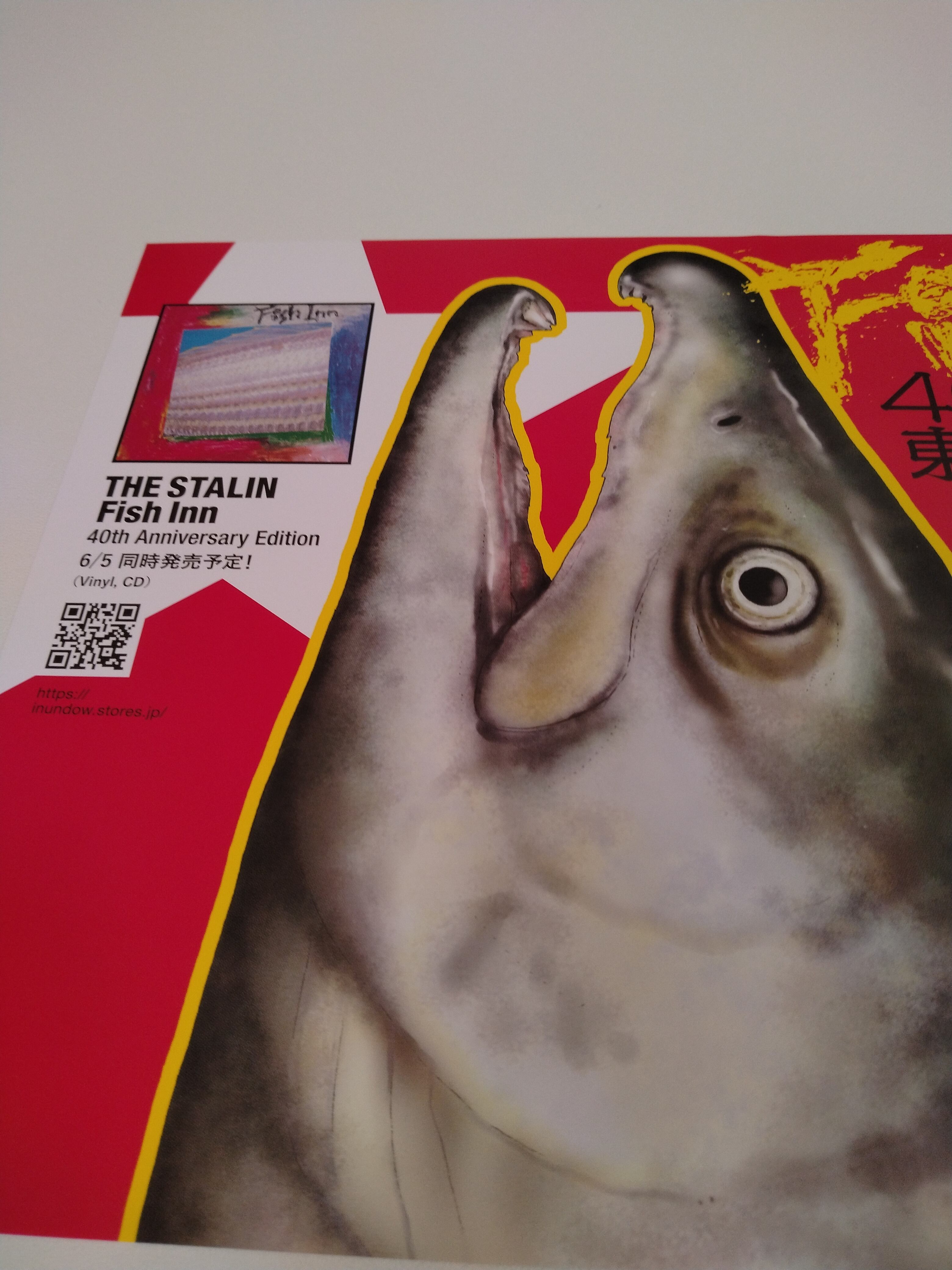 THE STALIN/Fish Inn〜40執念記念GIG〜 | RECORD SHOP CONQUEST