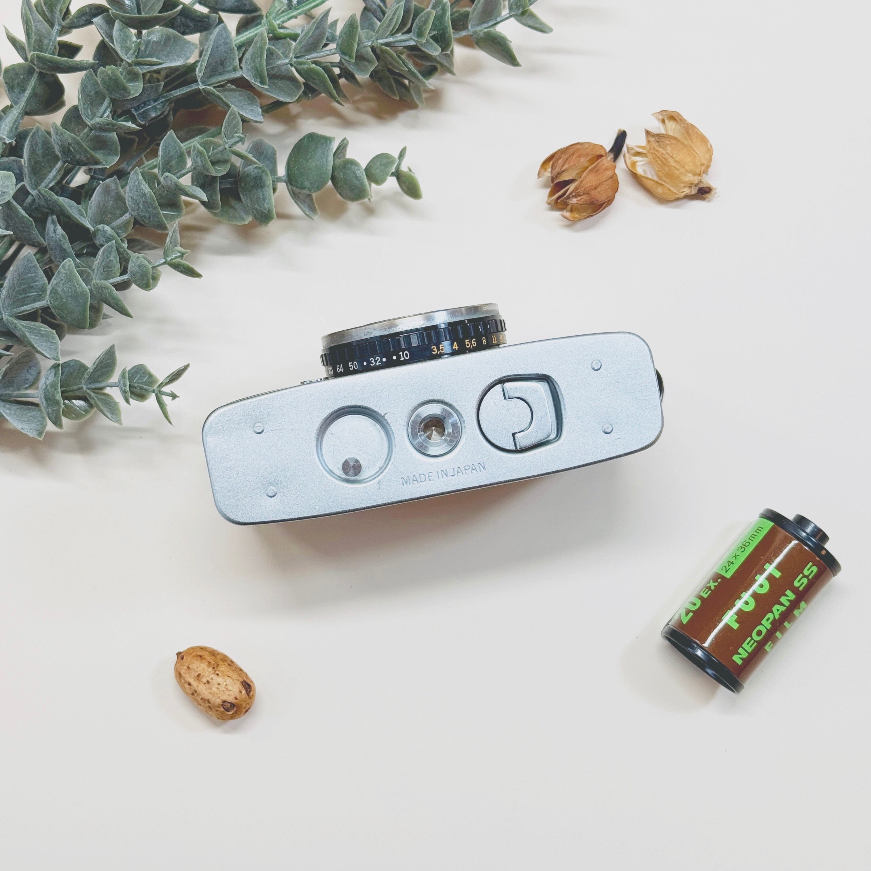 Zebra ゼブラウッド Olympus-PEN EE (EE-2) | Macha Cameras