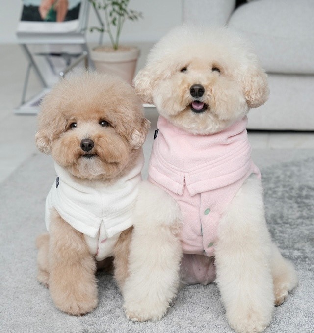 【おすすめ】ネッグウォーマー‐ (4color)