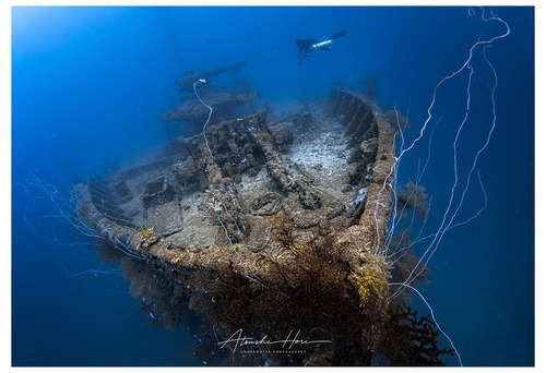 桑港丸 / San Francisco Maru