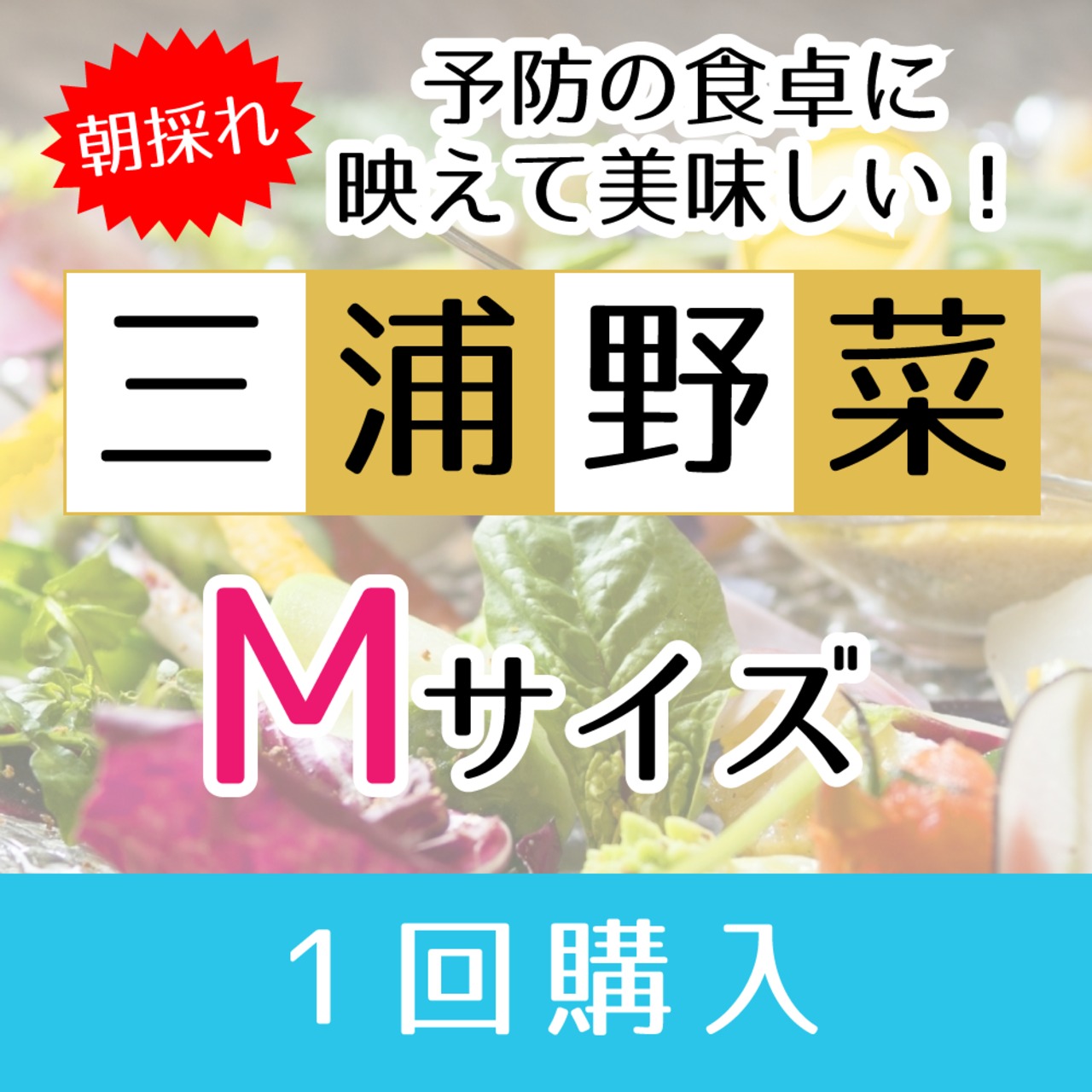 【Mサイズ】旬の朝採れ 三浦野菜