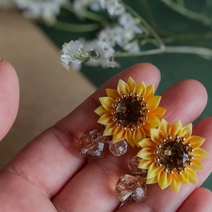 陽ノ花