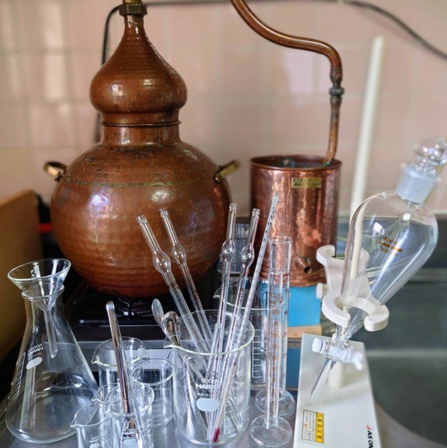 【柑橘の常識を切り離す、花良治みかん精油】