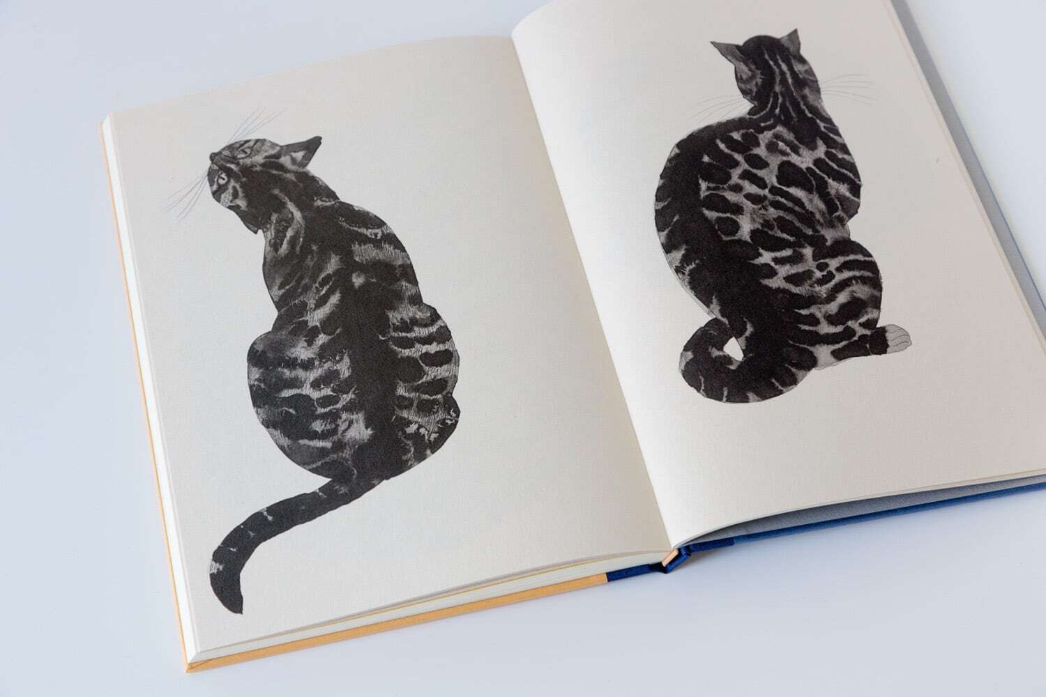 特典つき＊新品】出久根育作品集