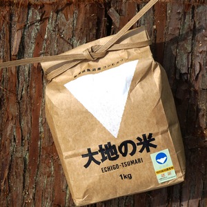 【特別栽培米】2023年度産　「大地の米」1kg　