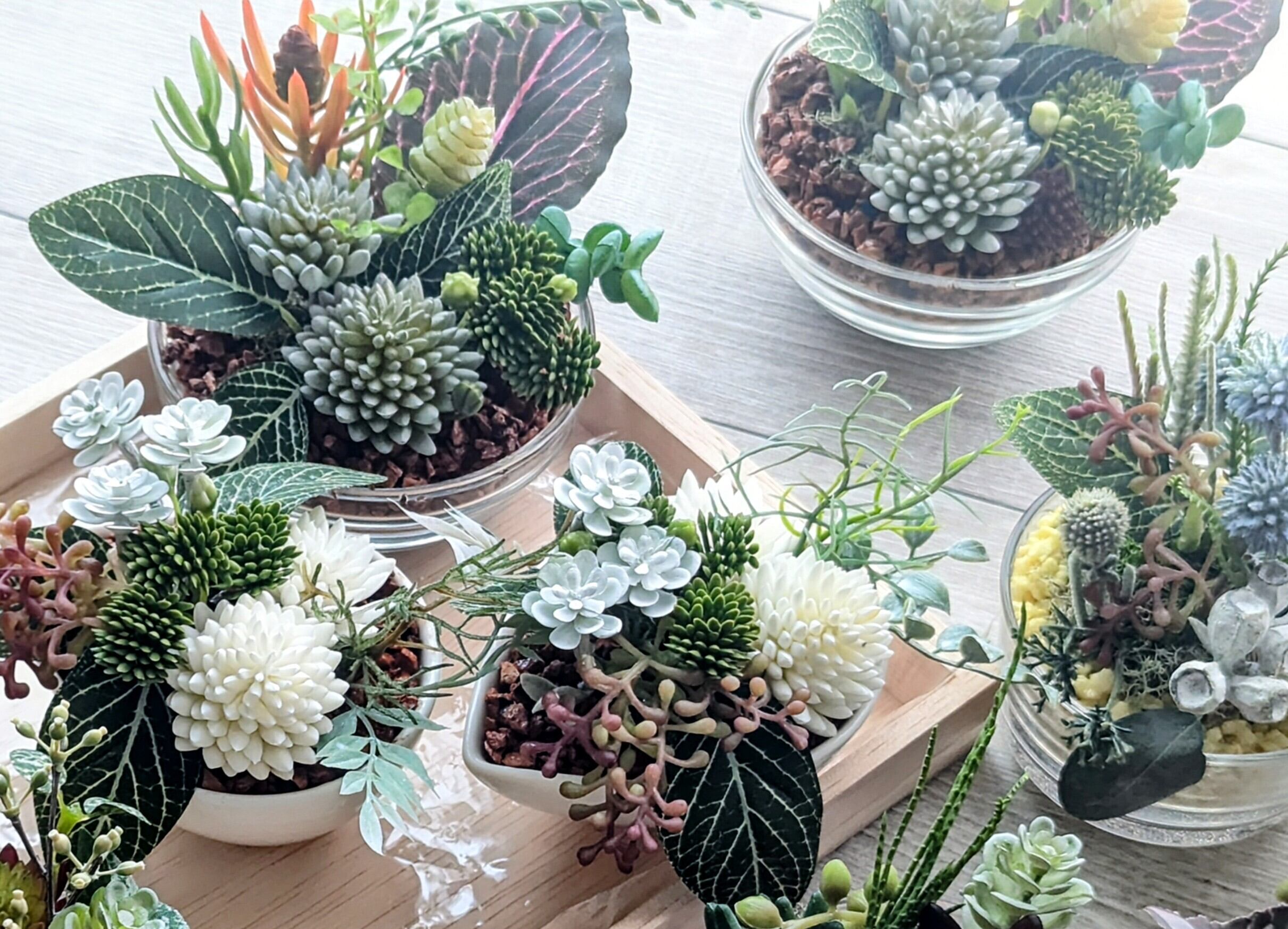 [非売品]ナチュラル多肉植物アレンジメント 壁掛け① 非売品]ナチュラル多肉植物アレンジメント 壁掛け①