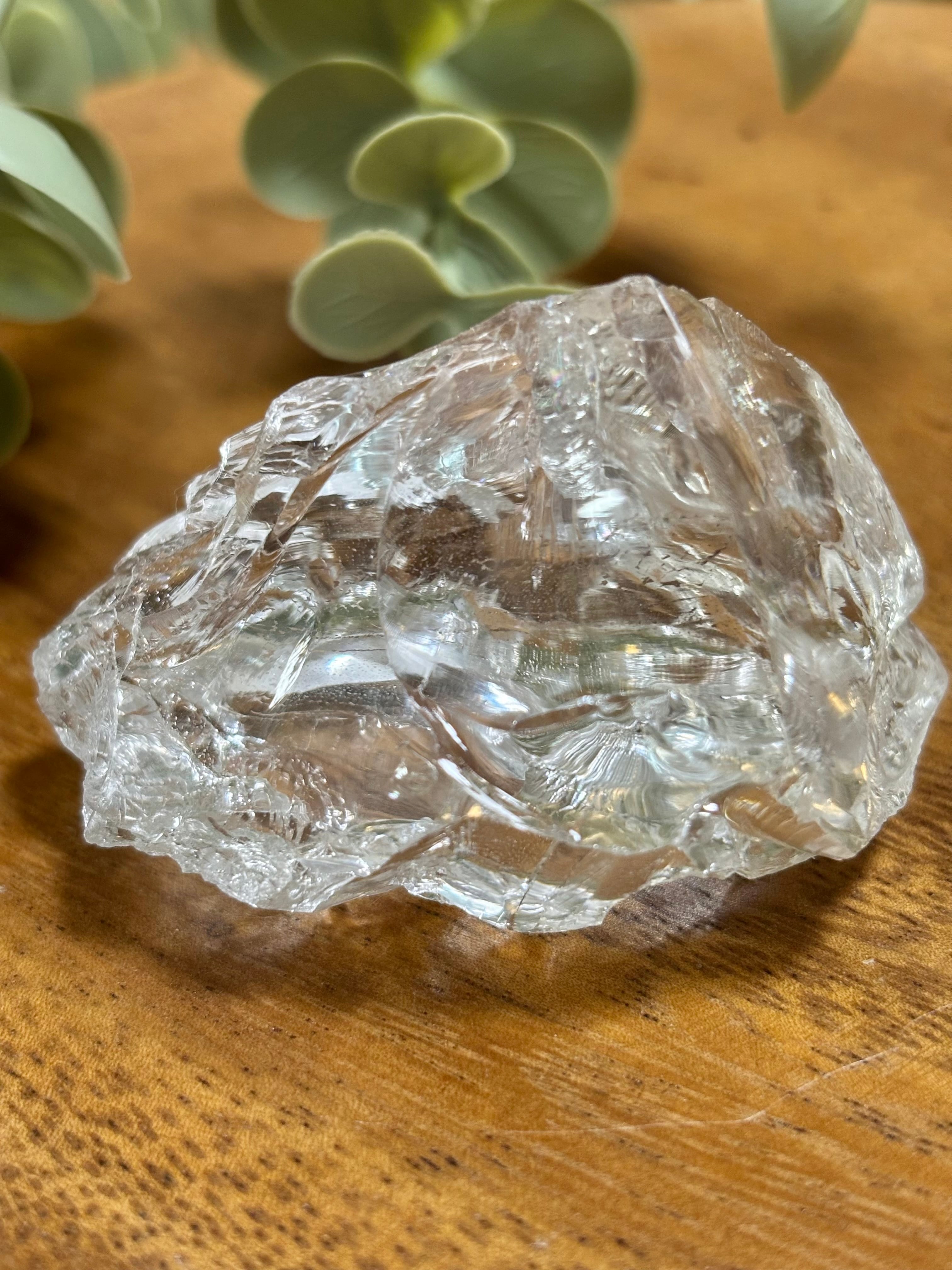 値下しました！ティップリン産クラスター80-2 値下しました！ティップリン