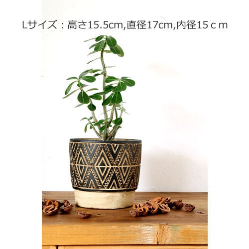 06b937c144916688722a6da222305b