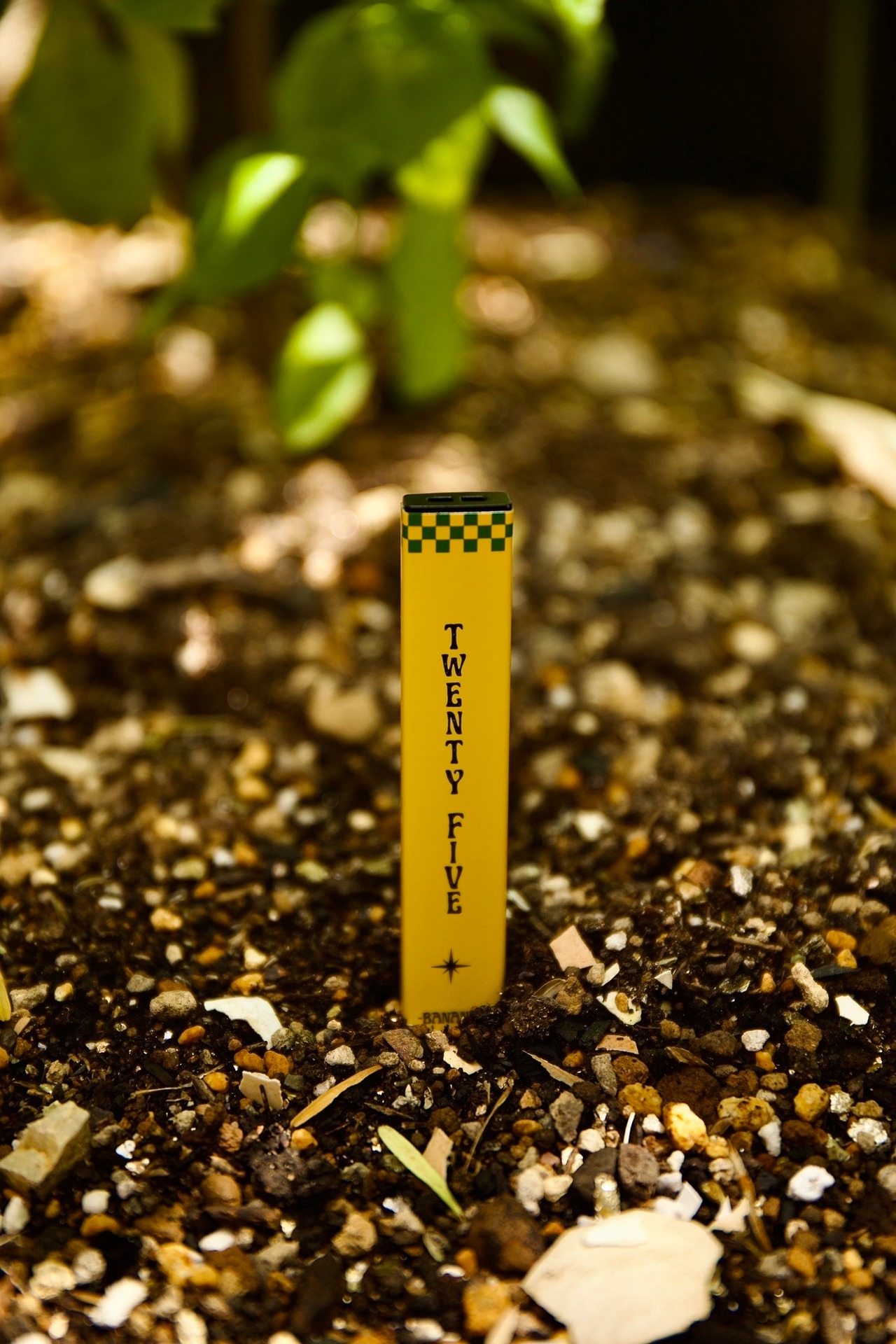 【10本セット/1BOX】【法改正適合済】Twenty Fiveコラボ限定フレーバーChillBear +CBD 5%【60mg】 - 3