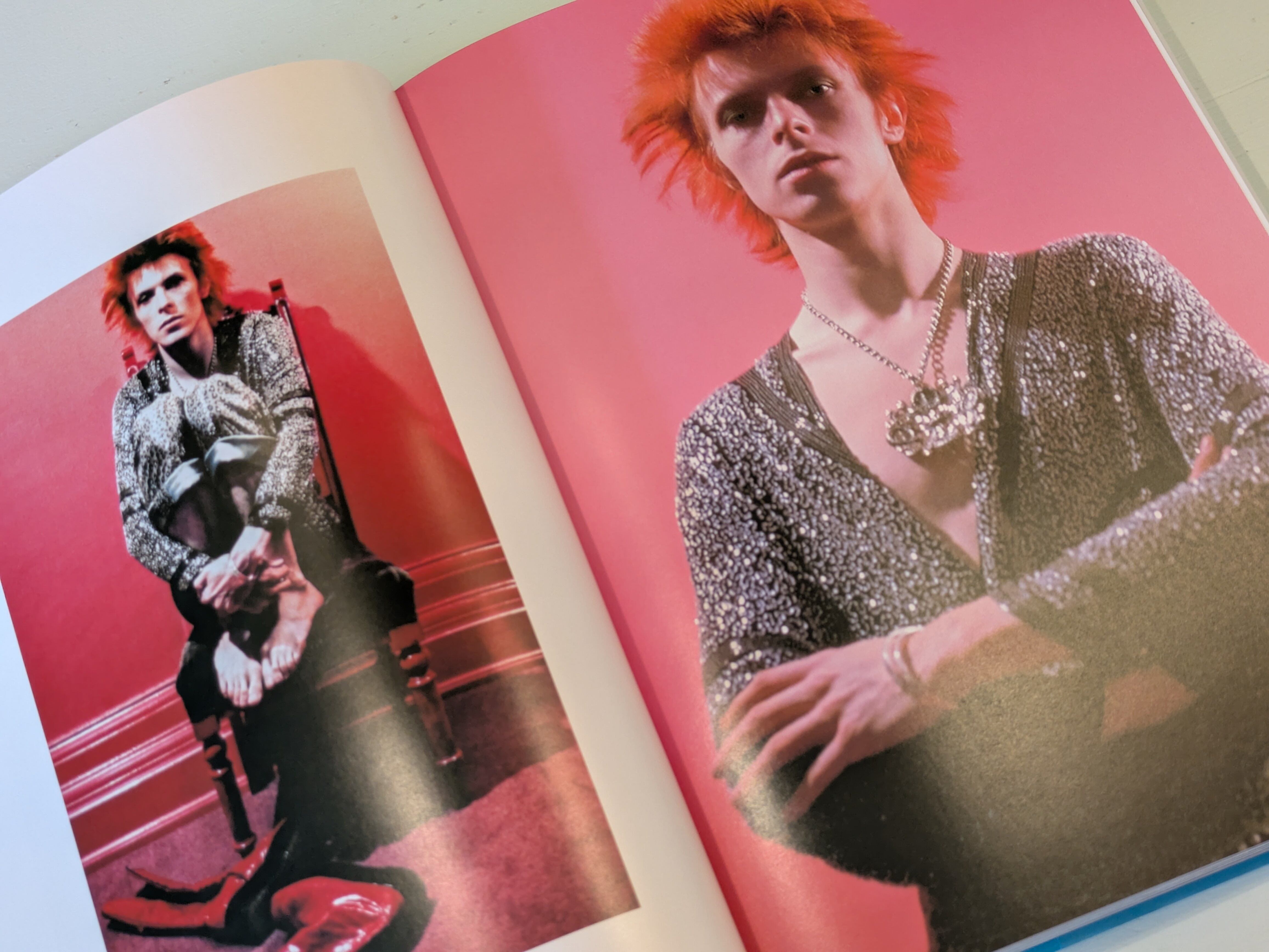The Rise of David Bowie 1972–1973 : Mick Rock / デヴィッド・ボウイ