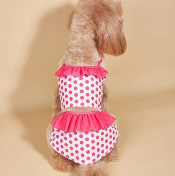 《予約》1102280 ストレッチドッティー水着