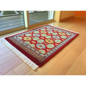 パキスタン　E18