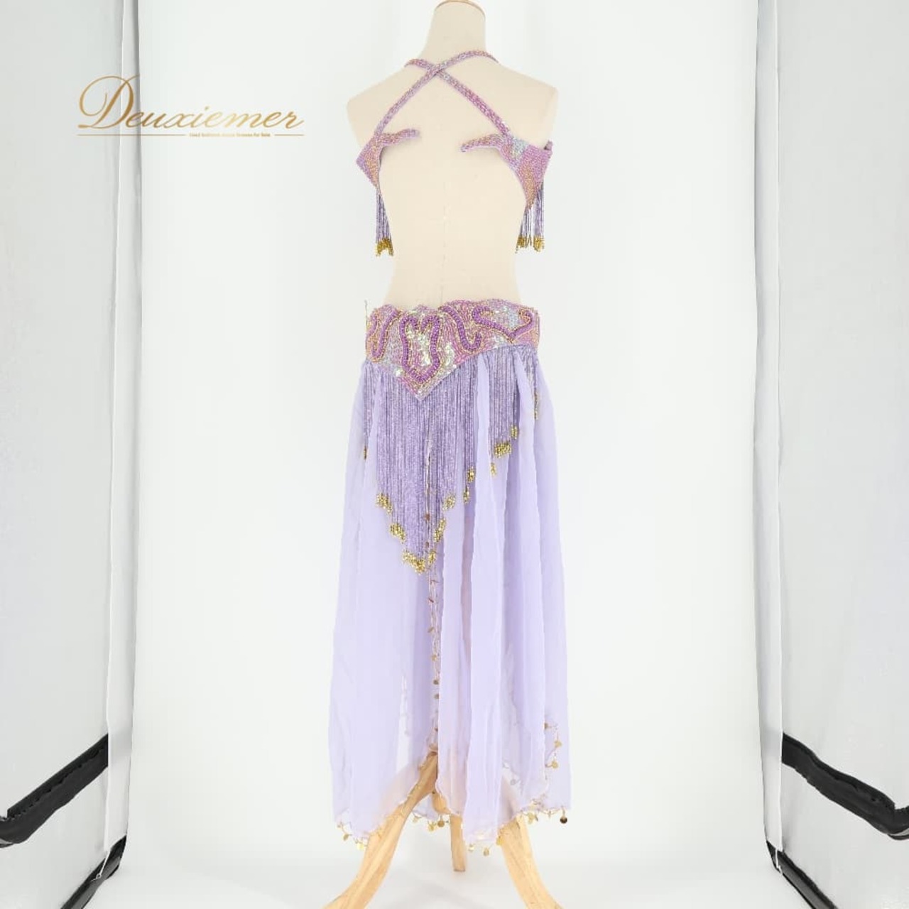 ベリーダンス オリエンタル 衣装 上下セット パープル系 トップス スカート ベルト チョーカー ベール アーム 紫 金 フリンジ 淡い 装飾 豪華 アーム飾り 腕飾り かわいい スリット 華やか ダンス衣装 イベント ステージ