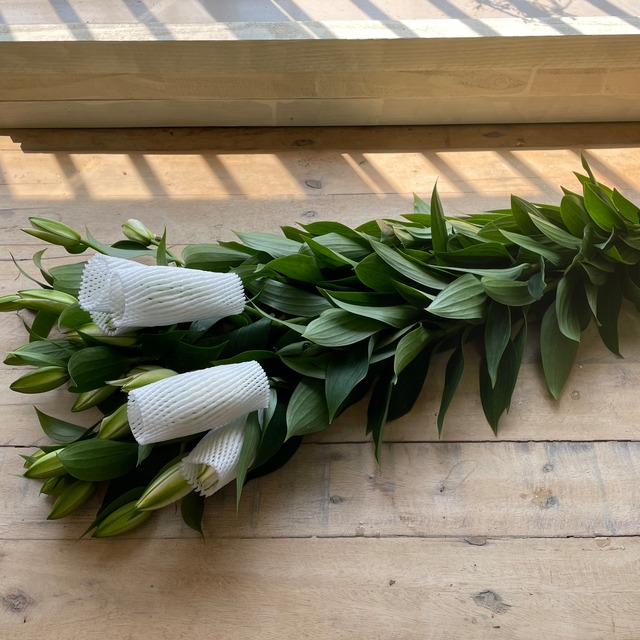 【お買い得商品　即出荷】八重咲き　ホワイトリリー　中小輪　10本