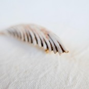 中嶋寿子のブローチ［砂の花］ B-2R