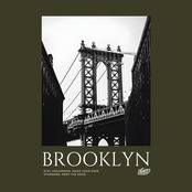 BKLYN BRIDGE PARKER/DO