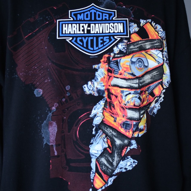 "HARLEY DAVIDSON"  front and back and sleeve printed l/s tee