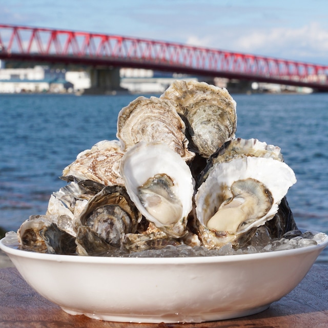 【北海道厚岸産】カキえもん2サイズ食べ比べ20個セット