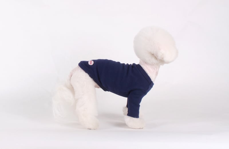 【SALE】 フライス無地Tシャツ S ~ XL 3color / 犬服 新作 長袖 ドッグウェア 小型犬 中型犬 犬 服 暖かい 猫 ペット用品 ペット洋服 b35