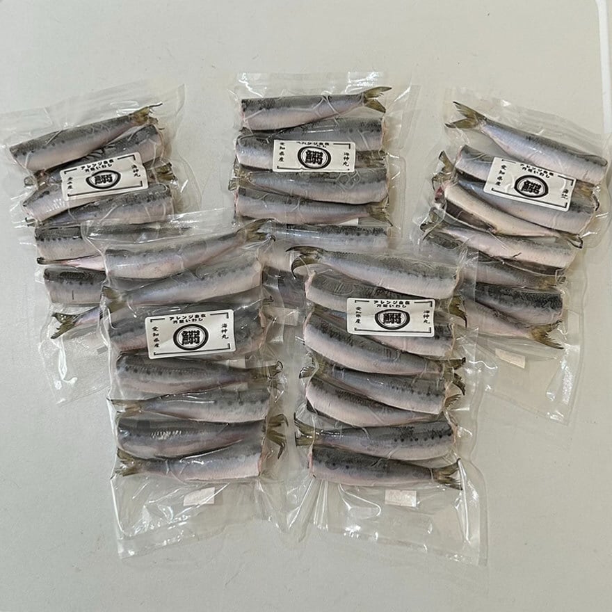 南知多海神丸　万能真いわし（8匹×5袋）冷凍
