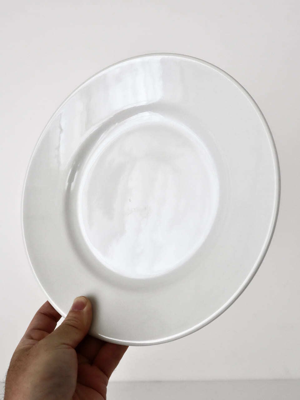 ディナープレート 26cm サタルニア チボリ｜Tivoli Dinner Plate