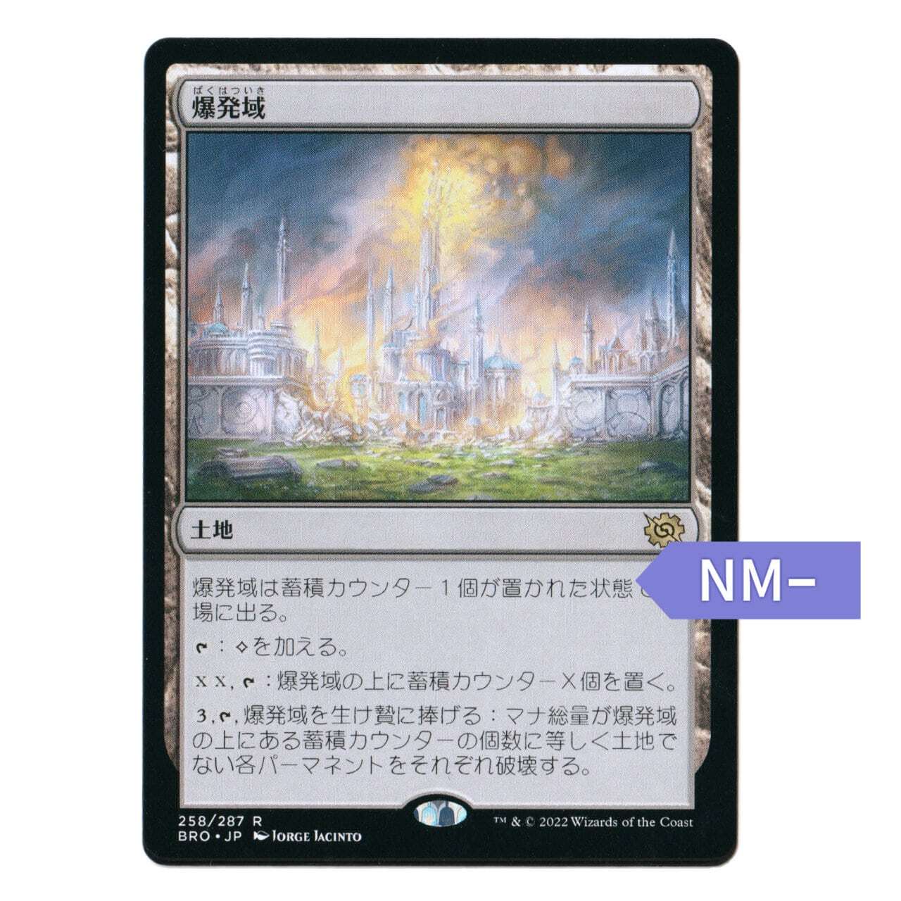 シバカツ　24枚 シバカツ 単品（1枚） | Pay ID