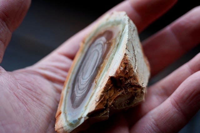 ロイヤルインペリアルジャスパー　Royal Imperial Jasper 17