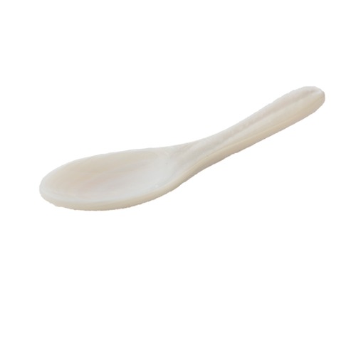 SHELL SPOON