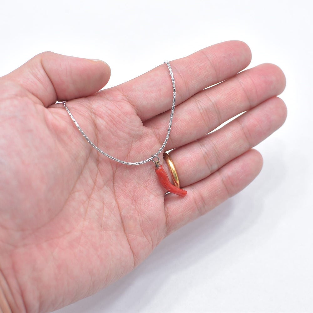 Vintage ヴィンテージ 唐辛子モチーフ ペンダント チェーンネックレス