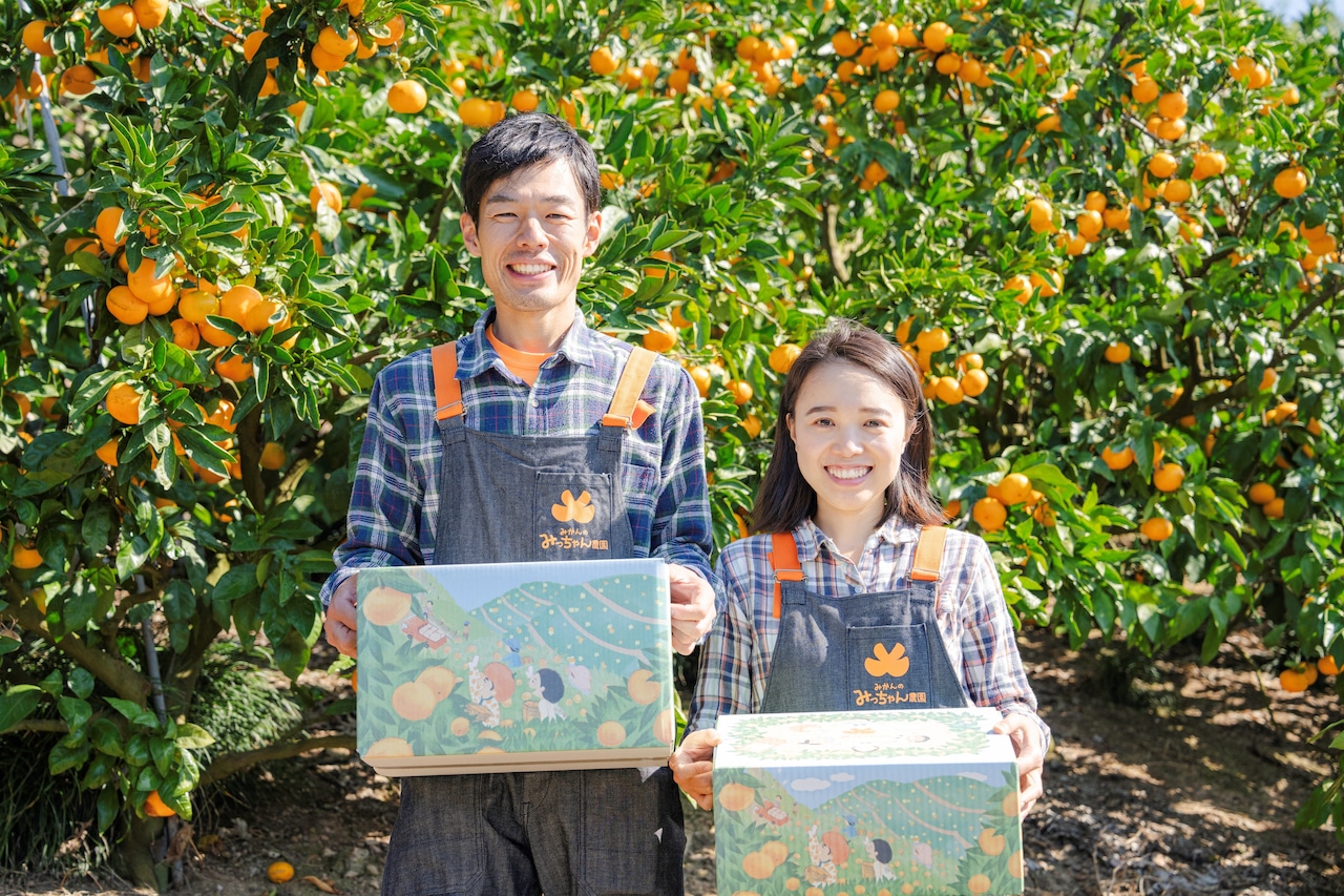 不意打ちみかん(YN26-和歌山限定品種)3キロ