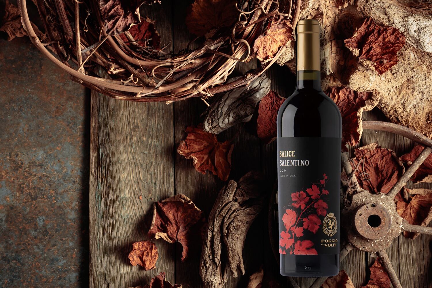 サーリチェ サレンティーノ ロッソ エイジド イン オーク／Salice Salentino Rosso DOP AGED IN OAK（F97 ）