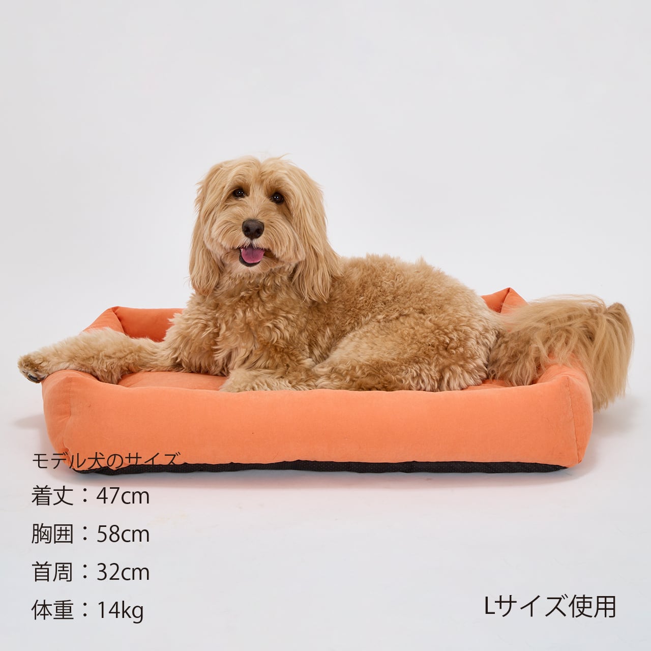 FLAT BED（L） フラットベッド | MANDARINE BROTHERS マンダリン
