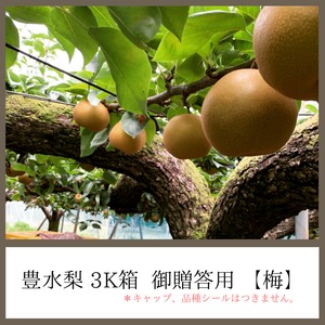 豊水梨 3K箱 御贈答用【梅】（中玉９個～１０個入り）