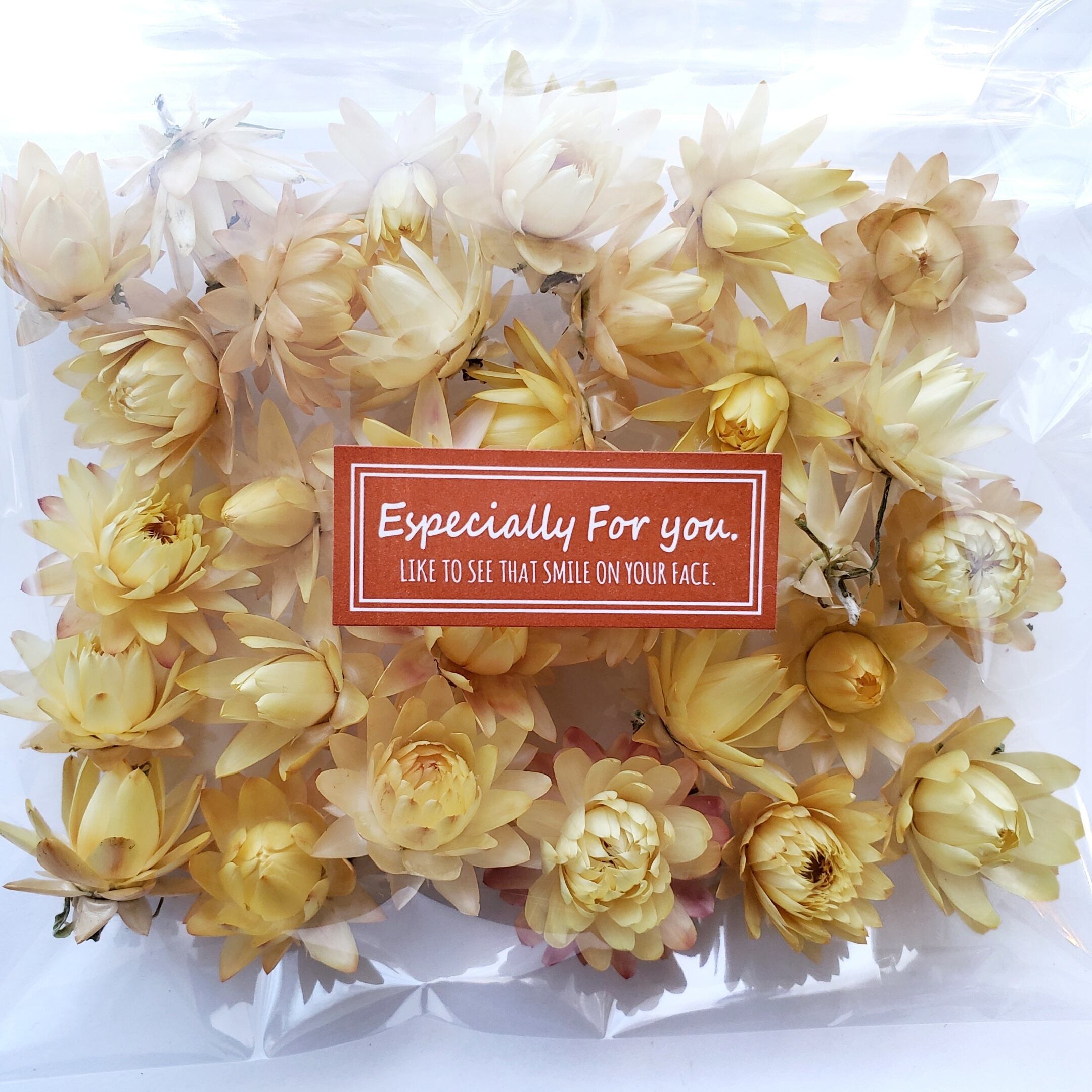 北海道産ヘリクリサム レモン 約30輪 2 3cm ヘッド 天然無着色ドライフラワー ハーバリウム花材 アトリエ明日音 アトリエ明日音 名古屋花材問屋 プリザーブドフラワー ドライフラワー ハーバリウム花材 資材