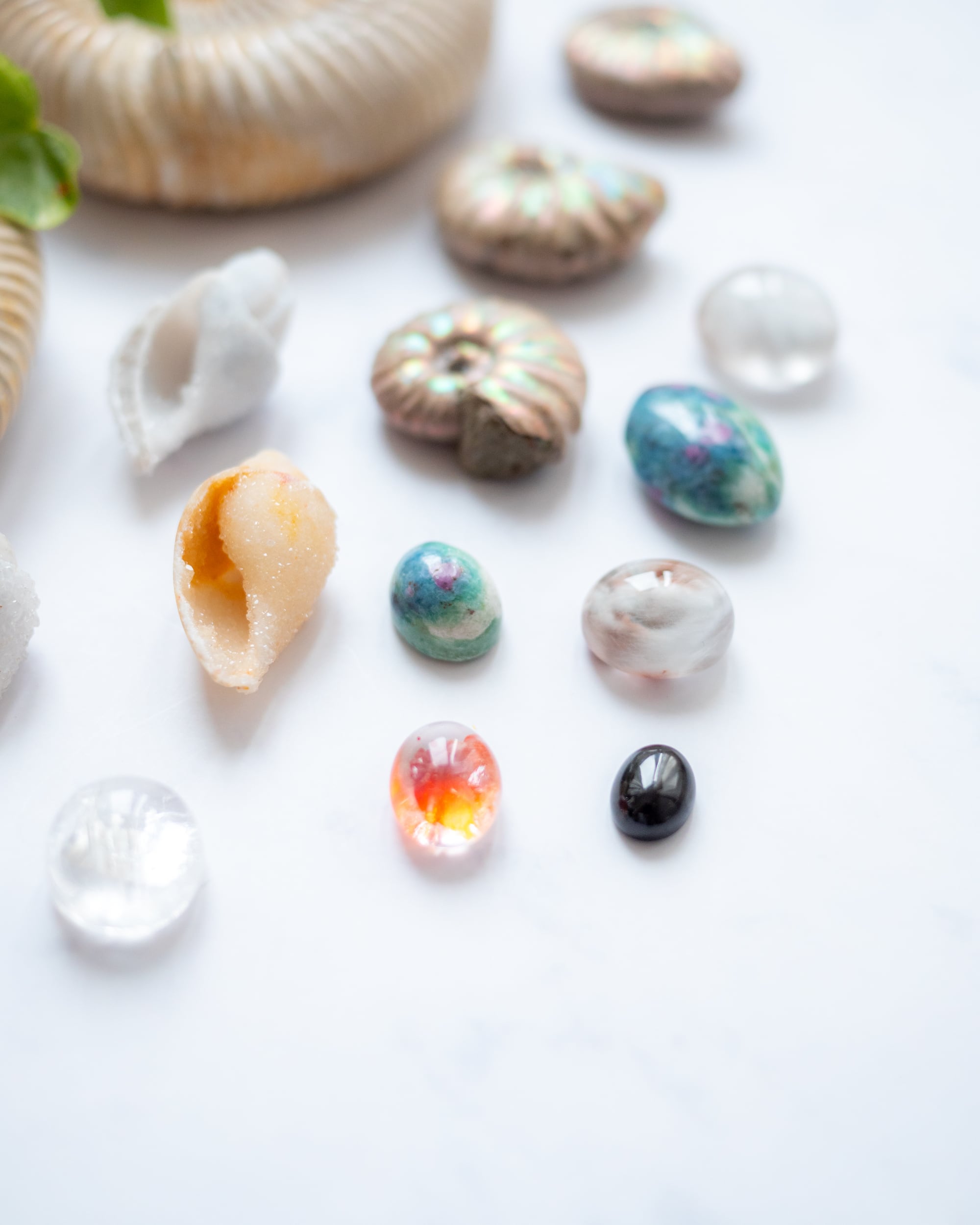 妖精たちの庭］ルビーインフックサイト／O200-615 | fugue（フーガ）