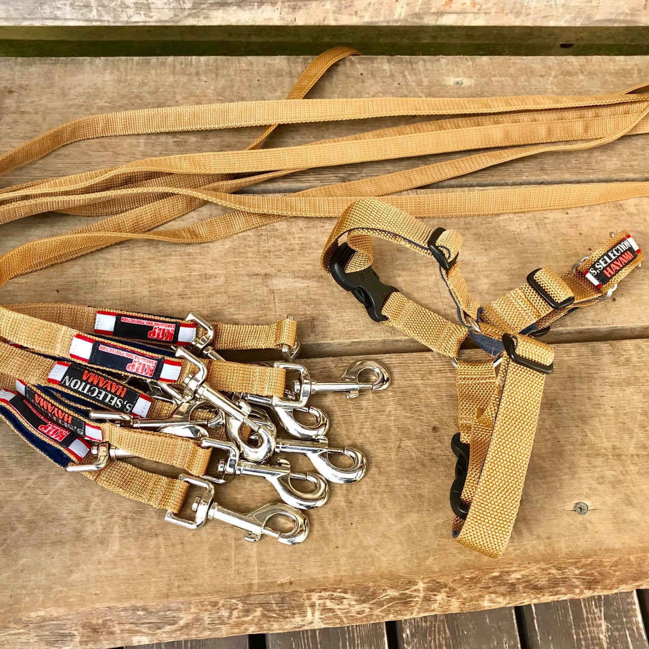 Sセレクション製ハーネス（KDPオリジナル） | KDP：神奈川ドッグ