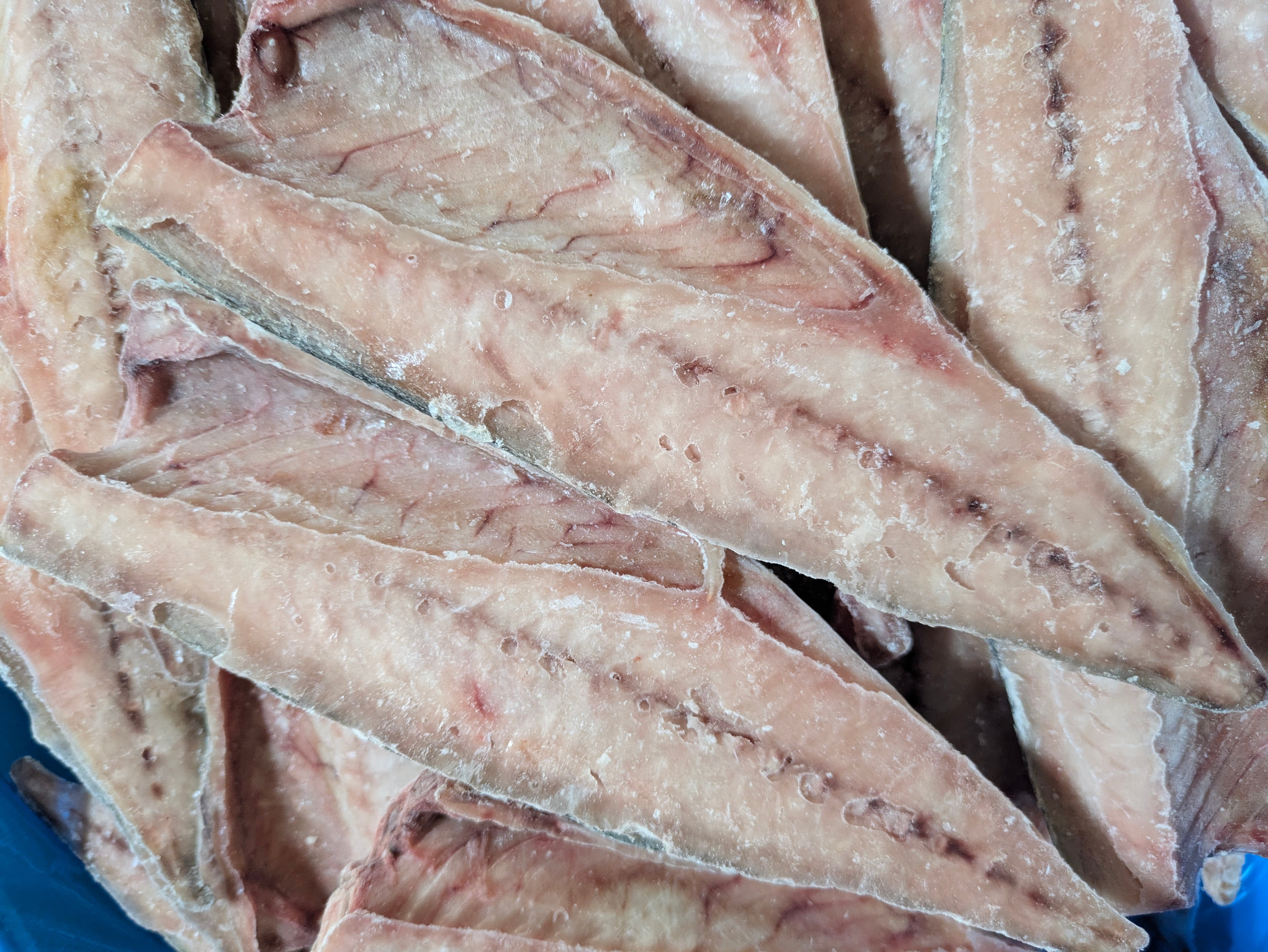 【業務用】国産サバフィーレ 5kg(45~50枚入)〜定食・お弁当に最適な約100gサイズ〜