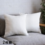 クッション ヌード 2P セアテ IV 45X45 45×45cm 日用品 日本製