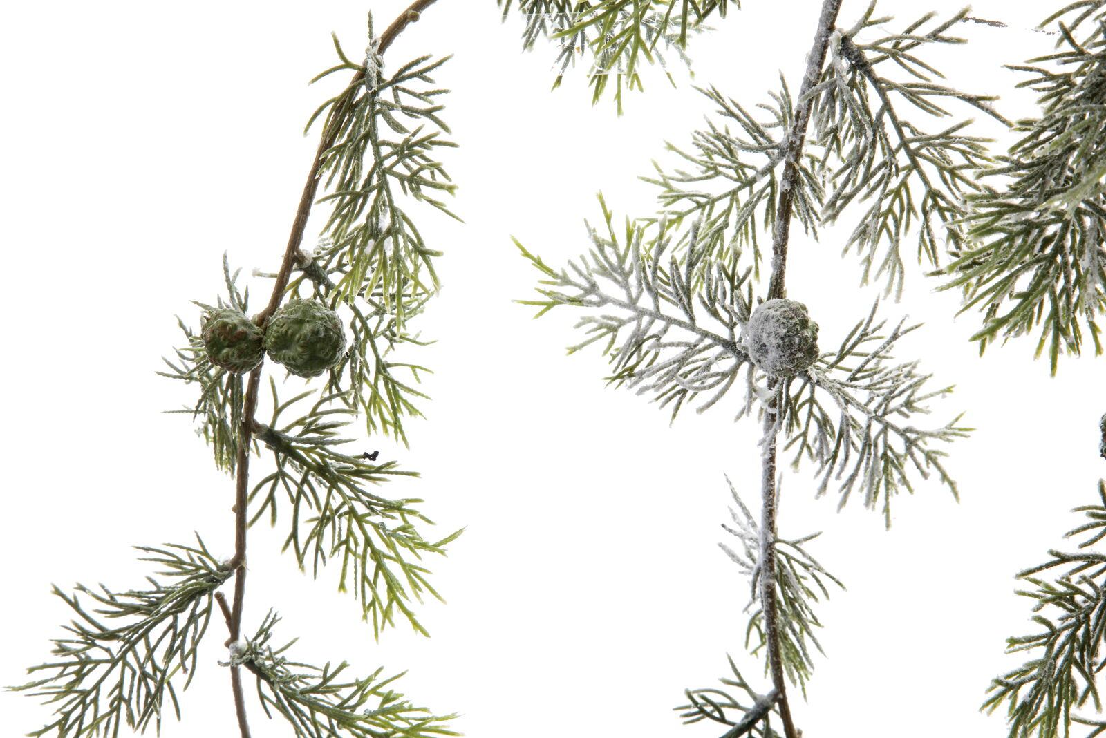 スノーパインバインハンガー　　FS-6092W/G　4961823799570　造花（アーティフィシャルフラワー） > シーズン造花